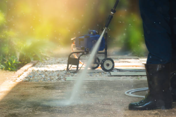 Best Driveway Pressure Washing  in Mcguire Af, NJ